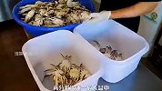 有滋有味的生腌酱油蟹，别提有多鲜了！