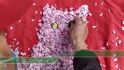 大爷捡落樱拼成动物世界 网友：确认过眼神，是文艺大爷