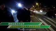 宠物狗冲上马路被撞死负全责 狗主人拒签字：狗花1万凭啥不赔