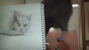 给猫咪画素描太不容易了