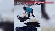 在东北一切皆可雪洗！有貂的洗貂、没貂的洗狗洗猫，南方朋友看呆