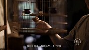 惜物之美，有笼子就必须要养鸟吗？