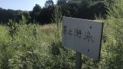 姐弟3人溺亡 最大19岁最小9岁 父母崩溃：所有希望都没了