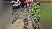 花季少女离家出走后不幸遇难！遗体在河道被发现，“很乖巧懂事的孩子”
