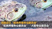 中国野生动物保护协会被处罚：违规设立分支机构