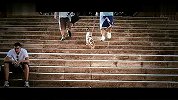 街球-13年-什么是篮球生活！不正是每天清晨和小伙伴约好去打球-专题