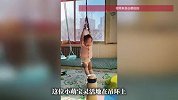 一岁多女童吊环上“开挂”！转体、倒挂、引体向上均不在话下