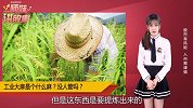 股市炒得很厉害的工业大麻是个什么麻？