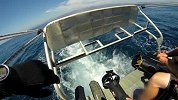 极限GoPro-16年-Gopro第1视角 寻找蓝鲸-《RacingExtinction》的序章-新闻