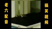 恶搞兄弟的一天，老六行为
