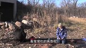 猩猩又进化了，不仅打乒乓很厉害，竟然还学会了烧烤！