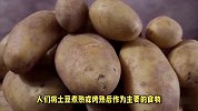 土豆是蔬菜还是主食？你真的了解它吗？