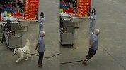 被狗绳绊倒 广东一老人腾空面朝下摔地后抢救无效身亡
