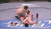 UFC-15年-UFC91中文典藏：次中量级哈兹雷特vs麦克罗伊-全场