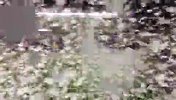 太刺激！博卡河床大战球迷狂撒纸片 糖果盒瞬间“漫天飞雪”