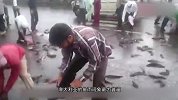 天空下“鱼雨” 1分钟捡一大盆 当地人民乐疯了