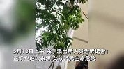 广西一女孩被天降玻璃砸倒，母亲抱娃蹲地痛哭，多视角视频曝光