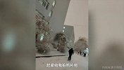 城会玩！东北大学生滑雪去上课 板杖装备齐全引校友惊呼