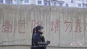 少女之春：暴躁的小白