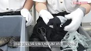 两女子入境步伐僵硬，裙子底下竟藏68只活乌龟！海关提醒
