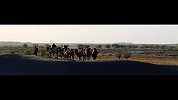 好摄之徒-20110715-驼铃的故乡之沙漠绿洲