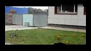 猫狗狭路相逢 怂狗吓破胆满街逃窜