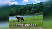 男游客称被马踢中隐私部位飞出2米，马场称其没购票！官方回应