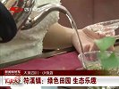 什么是引力波