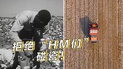 拒绝碰瓷！一组视频对比看美国棉花帝国诞生背后黑奴的血与泪
