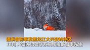 大兴安岭现火狐狸？摄影师：新疆拍摄 红色系后期调色！