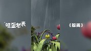 第62集《躲雨》