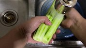第一人称视角拍做菜是什么体验？黄瓜炒瘦肉走起！