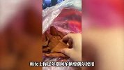 女子车停家门口半月被老鼠囤粮，底盘藏20斤红薯玉米