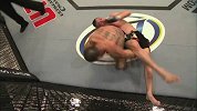 UFC-15年-UFC Fight Night 80倒计时：乔罗根预测诺斯卡特vs菲斯特-专题