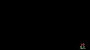 加拿大街头搞笑：死神把老人带走了