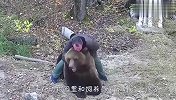 饲养员把棕熊当坐骑，棕熊的举动太逗了，千万忍住别笑