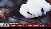 金融界-棉花跌价四成 秋装价格不降反涨-10月12日