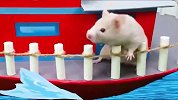小仓鼠开着船穿越大海，闯过风暴，去救同伴！