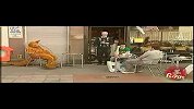 英国街头搞笑：袋鼠着火