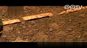 数码-火星探测车发现火星上的砖头
