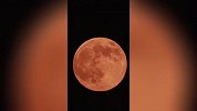 “超级月亮”现身北京上空