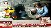 搞笑-20120314-宝宝面对玻璃屋内猩猩踢打无动于衷