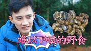 少年手机依赖症，一次野食之旅戒掉手机