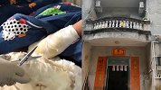 7岁男孩遭父亲烟头烫伤 男童姑姑：生下第二孩后 弟弟变了