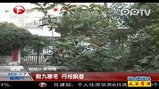 数九寒冬丹桂飘香