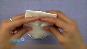 生活-如何用餐巾纸做睡莲