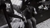 【美国】惊魂！汽车失控猛冲进餐厅 男子险被撞飞靠凳子捡回一命
