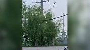 河南原阳4儿童被埋事件原因查明：系被土方倾倒压埋致死
