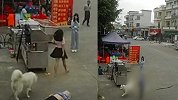 牵狗少女回应“逃跑”：当时并不知道是狗绳绊倒了老人