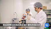 创业公司扎堆办公室零售，白领们的下午茶时间谁能拿下？